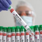 Bird flu has spread to 100 dairies in California and 300 nationwide, according to the U.S. Department of Agriculture. REUTERS/Dado Ruvic/Illustration/File Photo